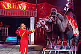 Circus ARENA Circus ARENA